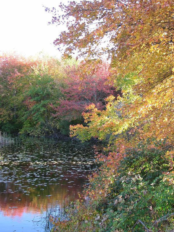 2008-10-11_Tiverton_Trustom 109.jpg